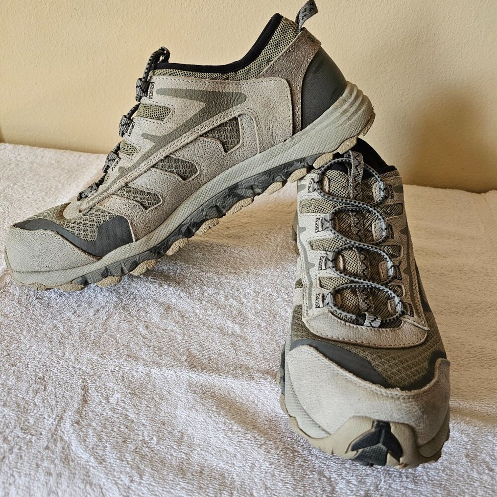 Irish setter hunting shoes